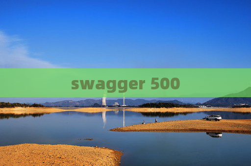 swagger 500